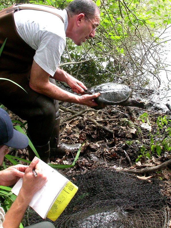Bronx River Alliance (@bxriveralliance) on Twitter photo Join us for a Mini Bronx BioBlitz March 24 from 10am-12pm at <a href="/soundviewpark/">Soundview Park</a>. You will have the chance to become a Citizen Scientist to help document species found along the #BronxRiver. This event is free & family-friendly. Click here for more info>bit.ly/2DD7DUU Join us for a Mini Bronx BioBlitz March 24 from 10am-12pm at <a href="/soundviewpark/">Soundview Park</a>. You will have the chance to become a Citizen Scientist to help document species found along the #BronxRiver. This event is free & family-friendly. Click here for more info>bit.ly/2DD7DUU