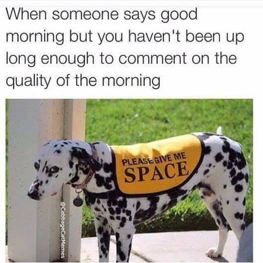 doglovers_me's tweet photo. https://t.co/WvLCBjC1No