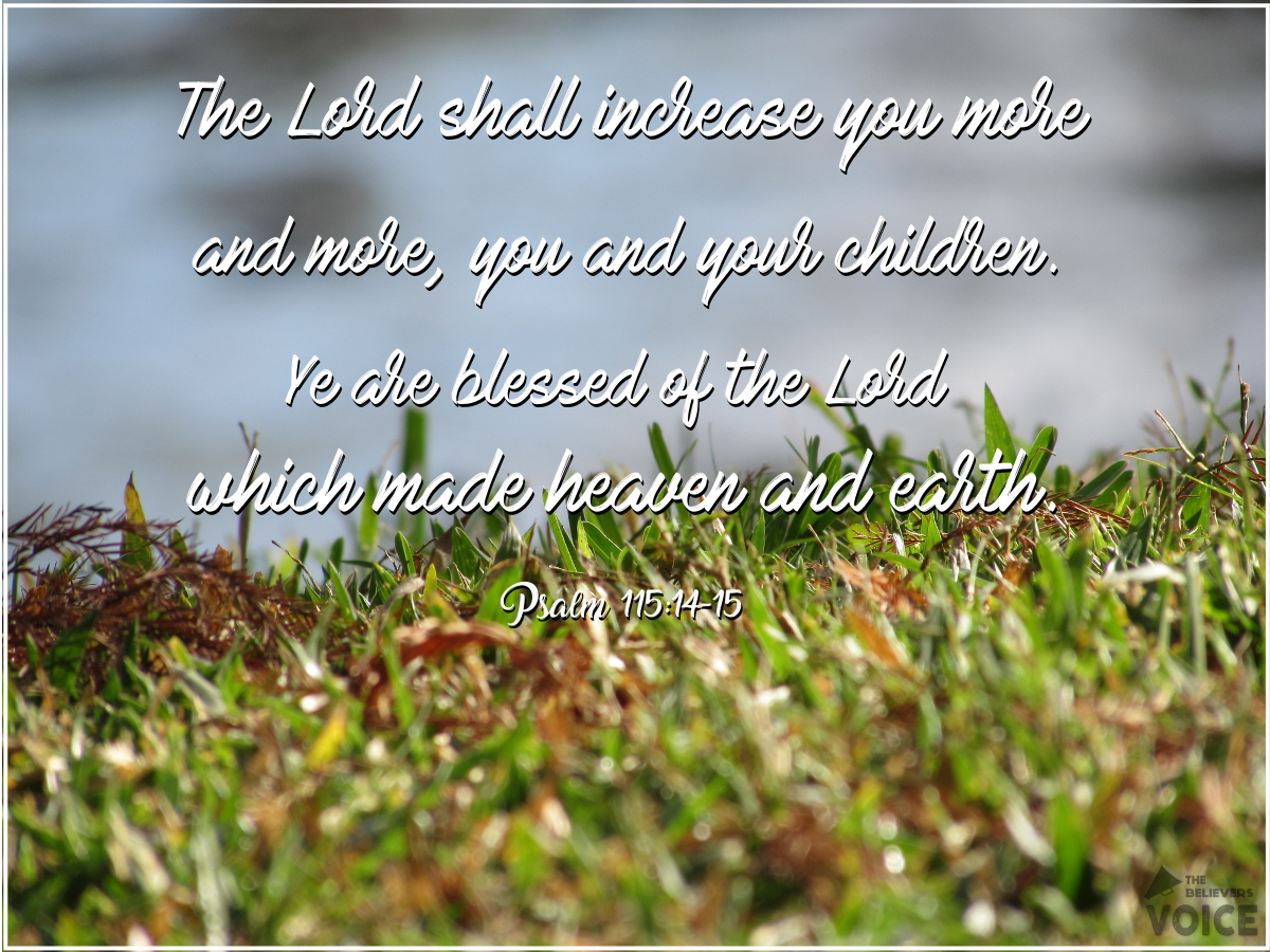 TBV_Post's tweet photo. May the Lord richly bless you and your children.
May you be blessed by the Lord.
#OnlyOneTrueGod https://t.co/Xm4xhXuVDH