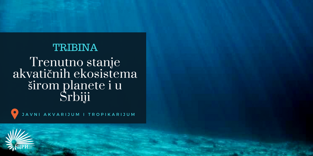 razvojideja's tweet photo. Tribina „Trenutno stanje akvatičnih ekosistema širom planete i u Srbiji “ održaće se u četvrtak, 22. marta, kako bismo obeležili "Svetski dan voda", sa početkom u 18 časova, u Javnom akvarijumu i tropikarijumu, u ulici Milenka Vesnića 3. 📍🕖 https://t.co/PAvITueKJG