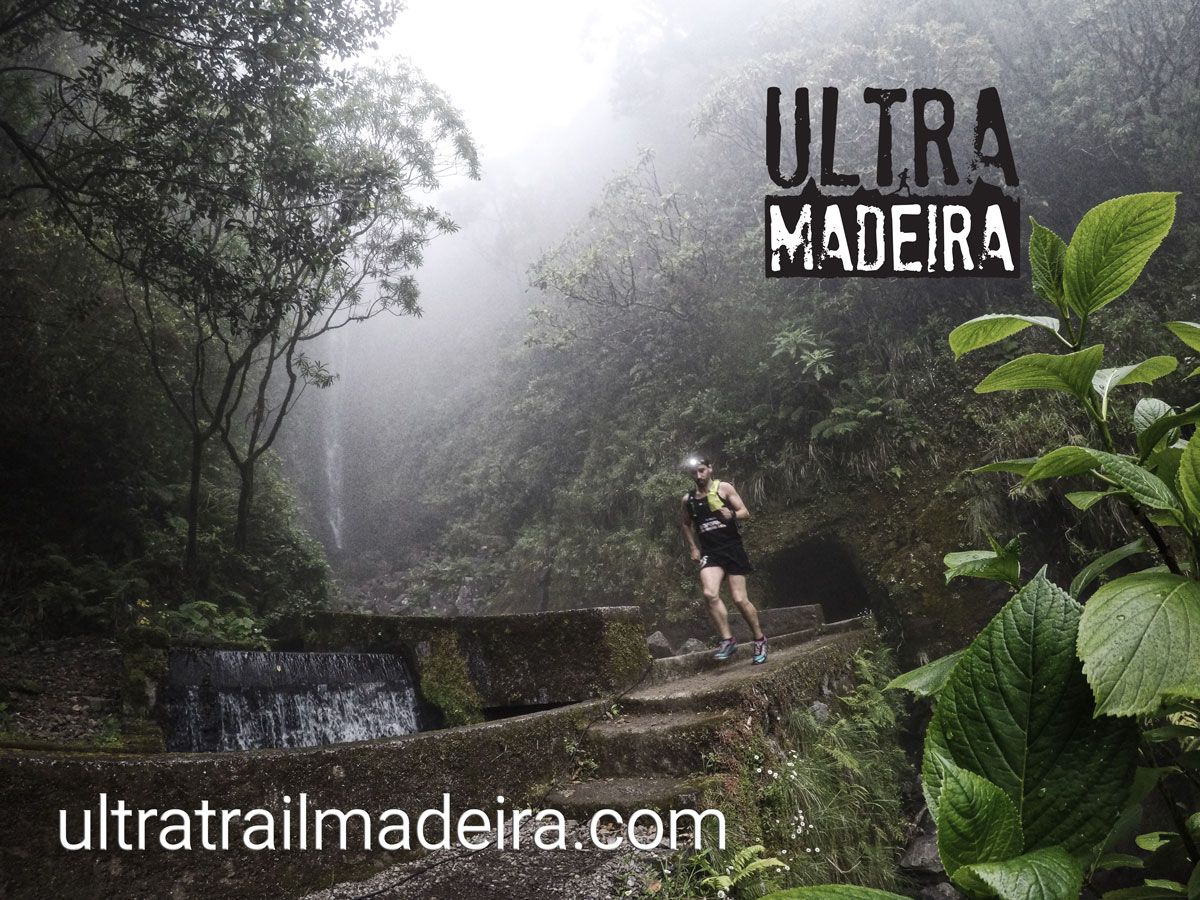 Courir dans une forêt dramatic, 85 km d'aventure!
//
Run in a dramatic forest, 85km of adventure!
// 
Corra numa floresta dramática, 85km de aventura!

#ultramadeira #madeiraoceantrails #mot #madeiraisland #visitmadeira #trailrunning #running #ultratrail #trail <a href="/madeira_islands/">Madeira Islands</a>