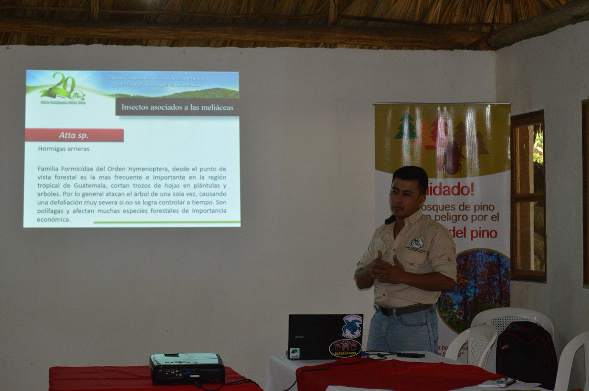 inabguatemala's tweet image. #INAB realiza Curso sobre el Manejo de Plagas Forestales en Plantaciones de Especies Latifoliadas en el Parque Municipal Las Conchas, Chahal, Alta Verapaz.

#INAB #PROFOR más bosques, más vida...