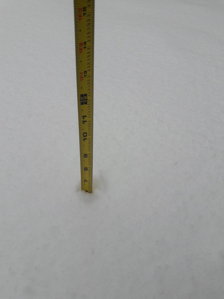 Lotsa fluffies in my backyard in #Thurmont...so far... @MCPSsnow <a href="/dougkammerer/">Doug Kammerer</a> <a href="/capitalweather/">Capital Weather Gang</a>