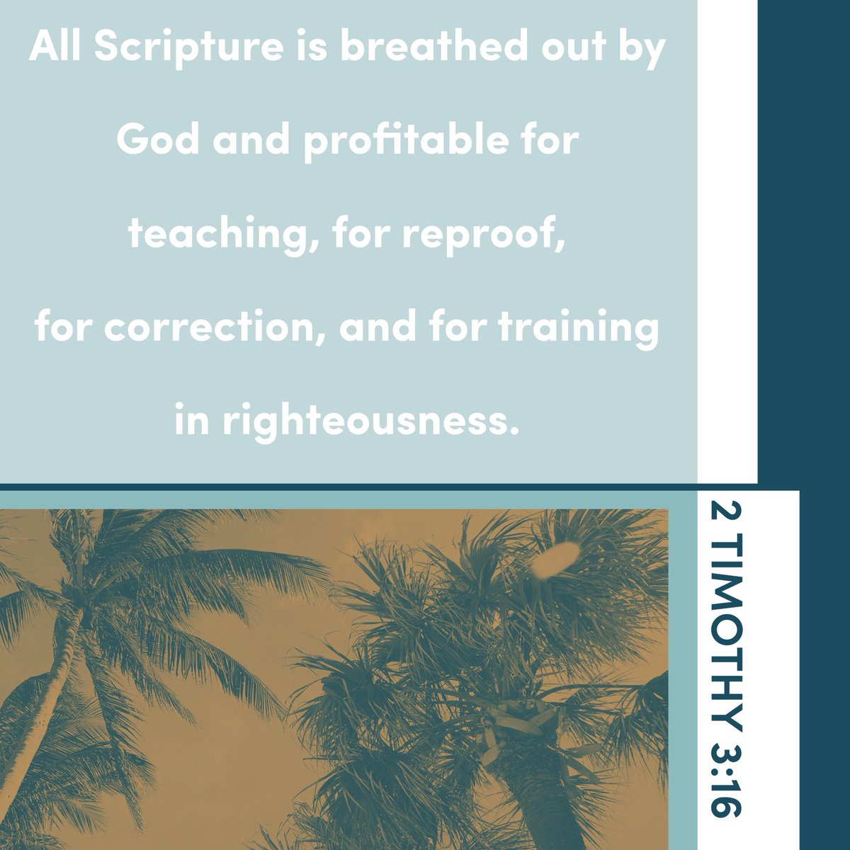 thegracecity's tweet photo. "All Scripture is breathed out by God and profitable for teaching, for reproof, for correction, and for training in righteousness." 2 Timothy 3:16 https://t.co/gw301Jd4YN