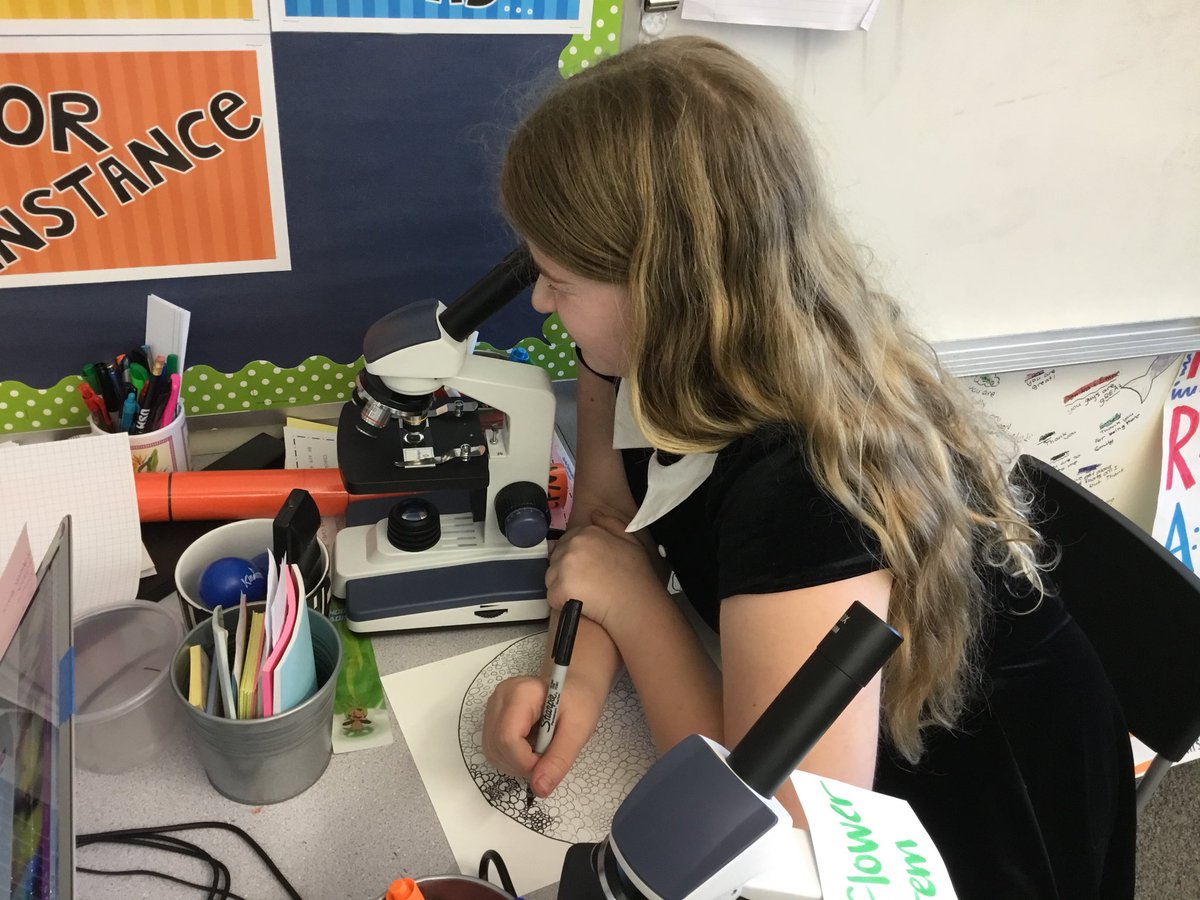 CougTeacher's tweet photo. Thank you @HSF4kids !  Students are becoming scientists cell by cell! #STEAM #TeachImlay https://t.co/Cc0ZMZWVba