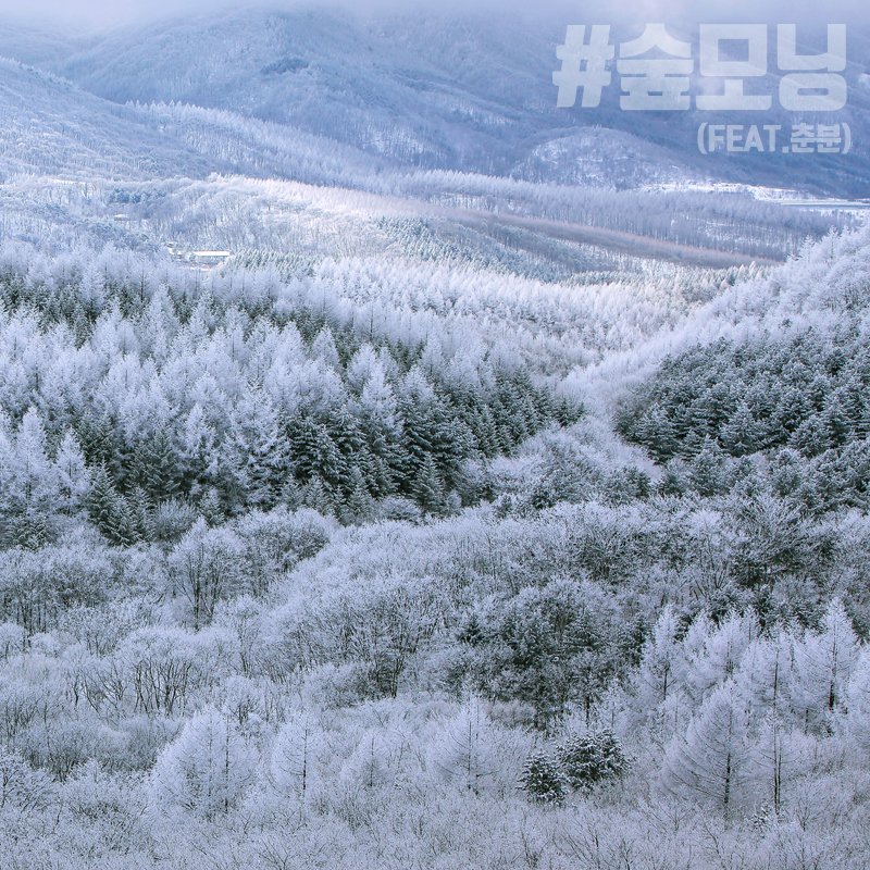 <#숲모닝, 이곳은 #겨울왕국?!?>

오늘은 낮과 밤의 길이가 같아지고 날씨가 올라가 #봄의_시작 을 알리는 절기 #춘분 이라는데.. 이건 겨울왕국인가요? ☃️❄️
오늘 하루 눈조심 하시길 바랄게요!🙋‍♀️
눈이나 비가 오면 산불이 날 수 있는 확률은 낮아져서 살짝 기쁜것은 비밀.. (소근소근)