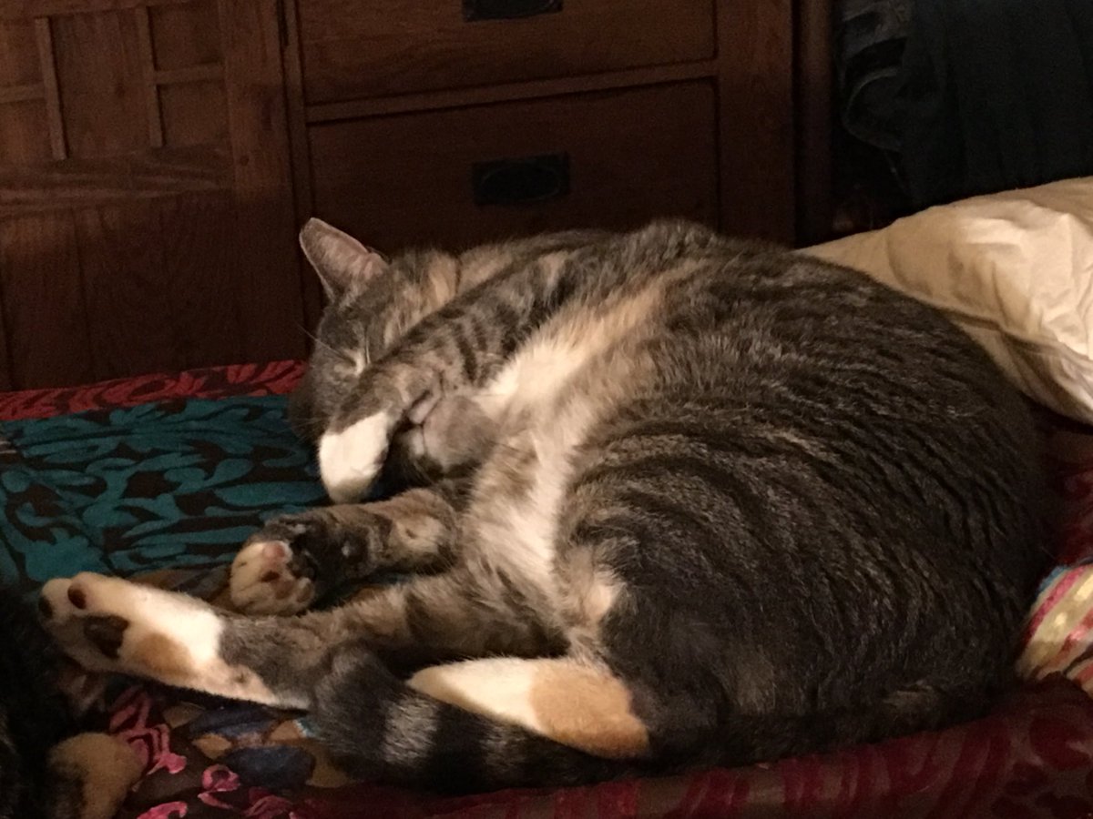 Turn the light off Mom !