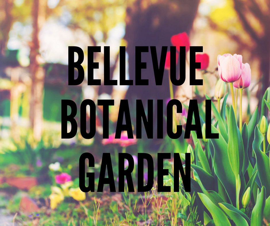 Take a stroll at the #BellevueBotanicalGarden each Saturday and Sunday, beginning in April!   Tours are super informative and free! 🌼

To schedule a group or private tour, visit: goo.gl/u3DwZn