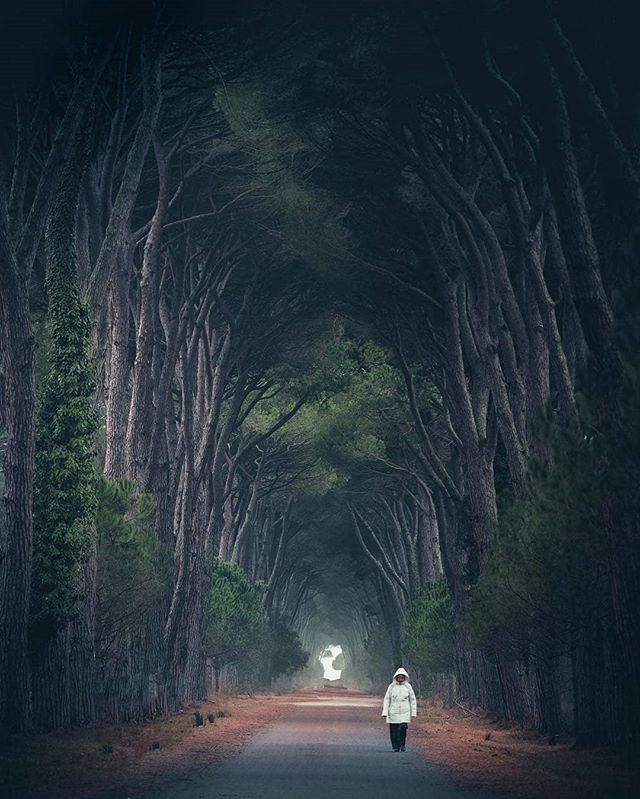 TheTuscanTimes's tweet image. repost @maxlazzi | #toscana #sanrossore #bdteam #travel  #thefullcolors #tree_magic #Italia #italiainunoscatto #italy #ig_italia #tuscany #olympusomd #igersitalia #MoodyGrams  #ig_italy #instaitalia #italian_places #italy_vacations #beautifuldestinat… ift.tt/2IGdrAE