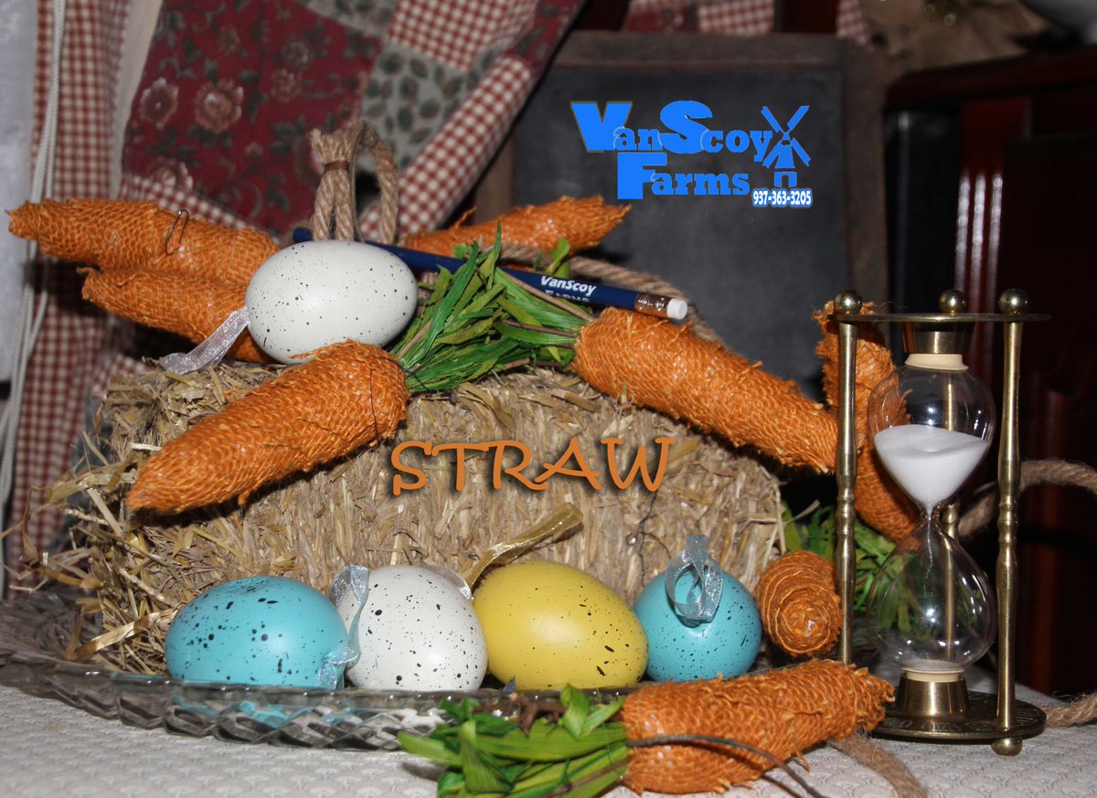 FarmsVanScoy's tweet image. #ministraw bales for #Easter and #Springdecorations. #Farmingforyou with #VanScoyFarms