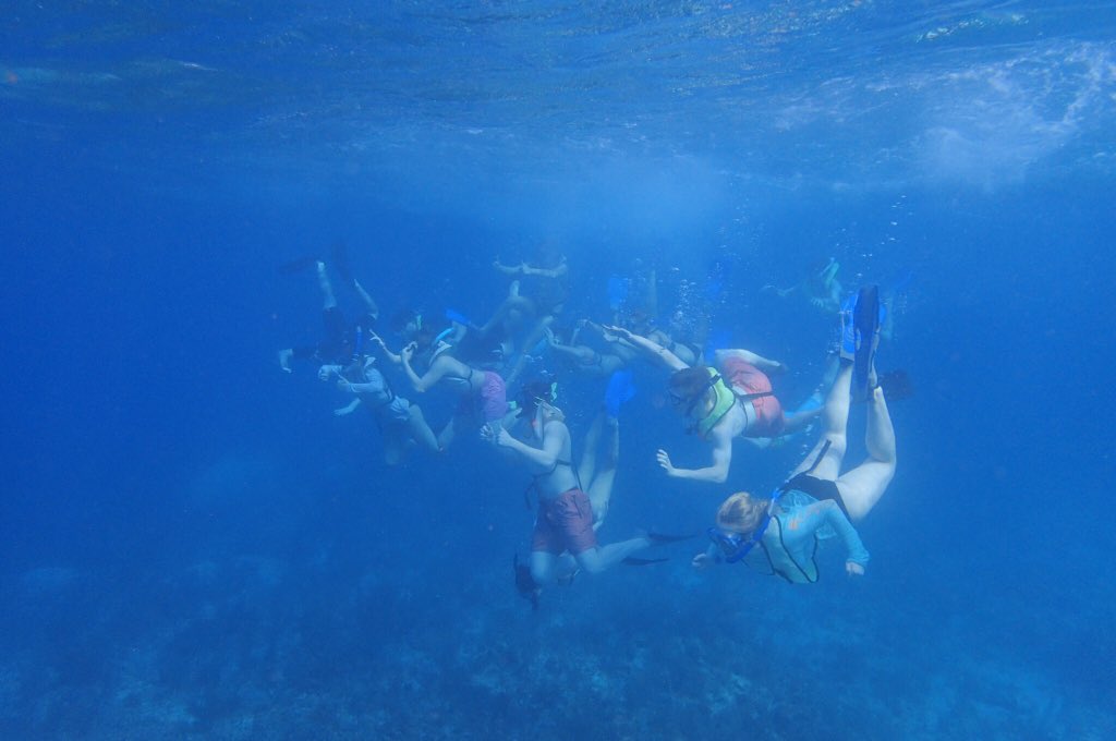 stephanie_feyes's tweet image. Ended our time at the MarineLab Key Largo with a reef snorkel at Grecian Rocks 🐠🐟🦀🦑 #marinebiology #FRAinterim #marinelabkeylargo