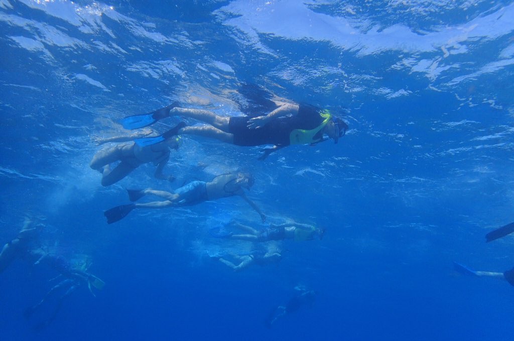 stephanie_feyes's tweet image. Ended our time at the MarineLab Key Largo with a reef snorkel at Grecian Rocks 🐠🐟🦀🦑 #marinebiology #FRAinterim #marinelabkeylargo