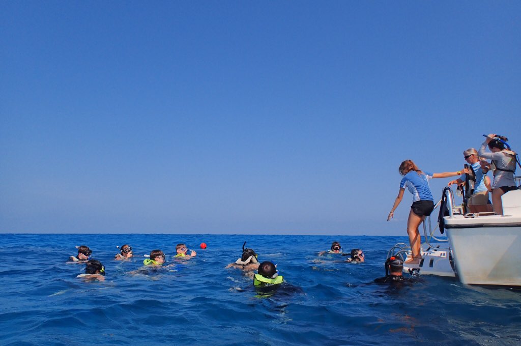 stephanie_feyes's tweet image. Ended our time at the MarineLab Key Largo with a reef snorkel at Grecian Rocks 🐠🐟🦀🦑 #marinebiology #FRAinterim #marinelabkeylargo