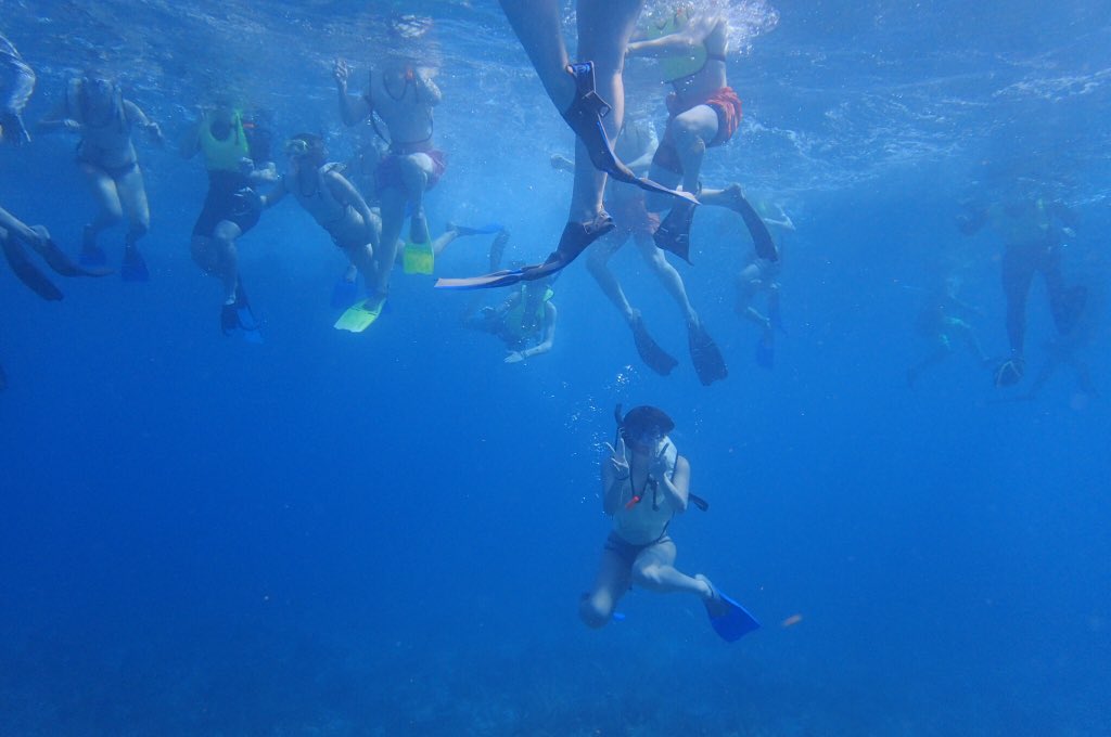 stephanie_feyes's tweet image. Ended our time at the MarineLab Key Largo with a reef snorkel at Grecian Rocks 🐠🐟🦀🦑 #marinebiology #FRAinterim #marinelabkeylargo