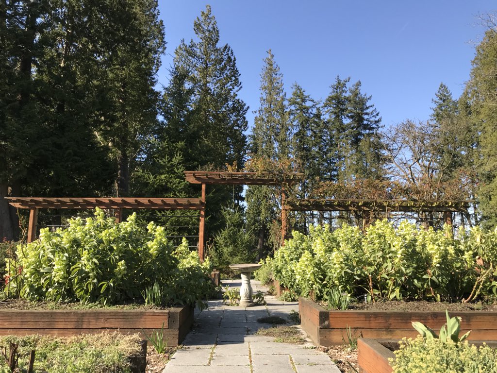 Truly House Rose Garden