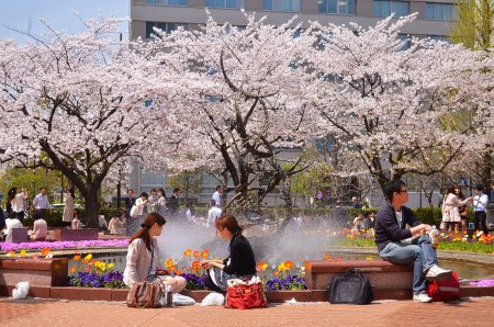 Vamos Al Twitter 今日は雨でアリオはお休みです 今週末は日比谷公園の体いい事ウィークに出店いたしますよー お花見がまだな方は是非是非来てくださいねー バモス Vamos 世界料理 世界一周 世界一周料理 お花見 移動販売 キッチンカー フードトラック 料理 旅 Vamos Al Twitter 今日は雨でアリオはお休みです 今週末は日比谷公園の体いい事ウィークに出店いたしますよー お花見がまだな方は是非是非来てくださいねー バモス Vamos 世界料理 世界一周 世界一周料理 お花見 移動販売 キッチンカー フードトラック 料理 旅