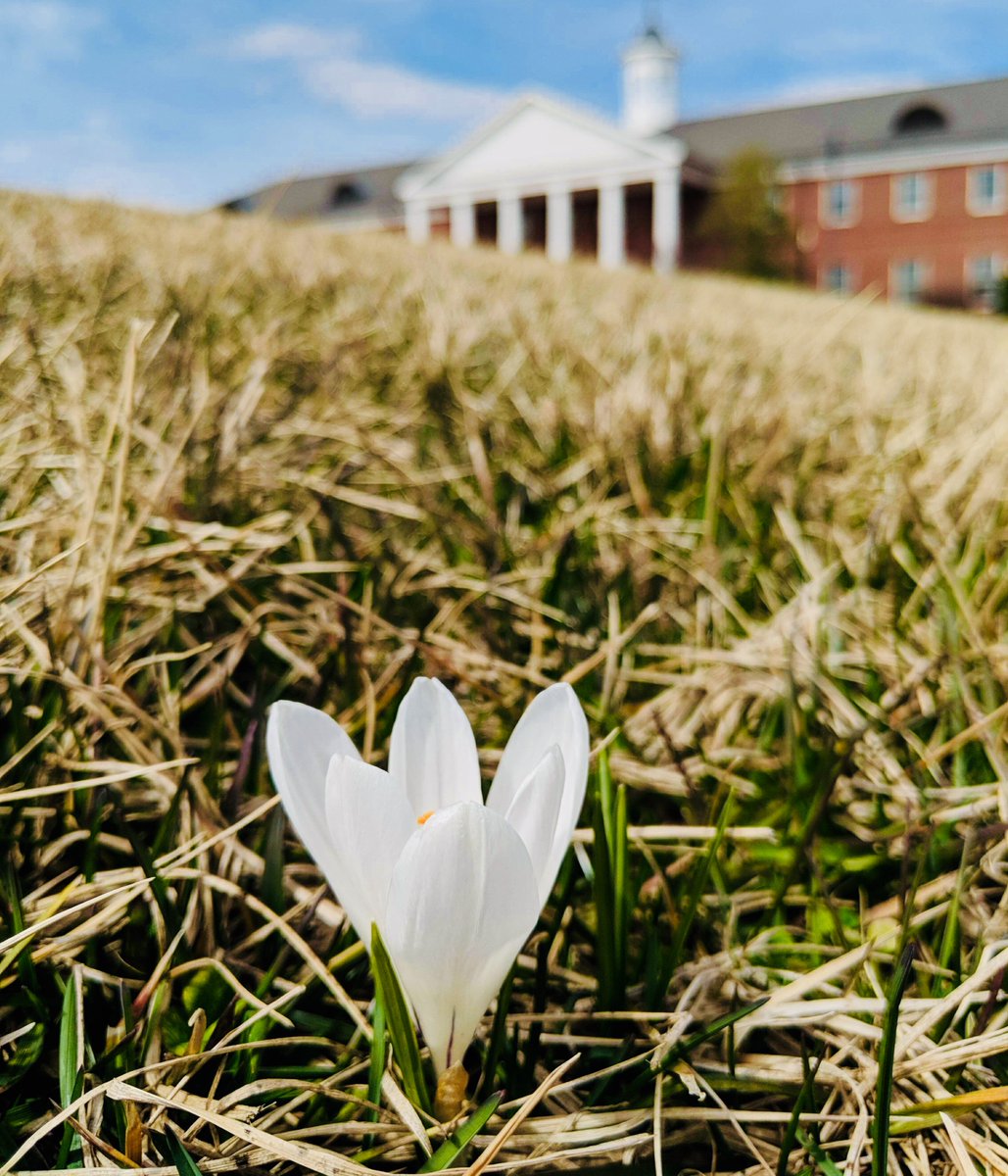 patrickhenrycol's tweet photo. 🌸 Happy spring, everybody! 🌸 It may not feel especially warm and spring-y here at Patrick Henry College today, but we're excited for all the fun events and sunny weather in store.
📷: Abigail Salomon
#springinvirginia #firstdayofspring #patrickhenrycollege https://t.co/4PqfskzEn9