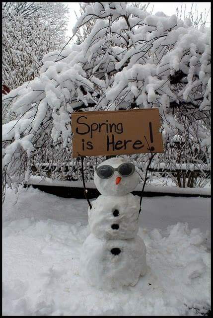 BRNRGAL's tweet image. Getting ready for another 
N'orEaster! 😡😬😢😨
#Spring
#NoMoreWinter
#MakeItStop
