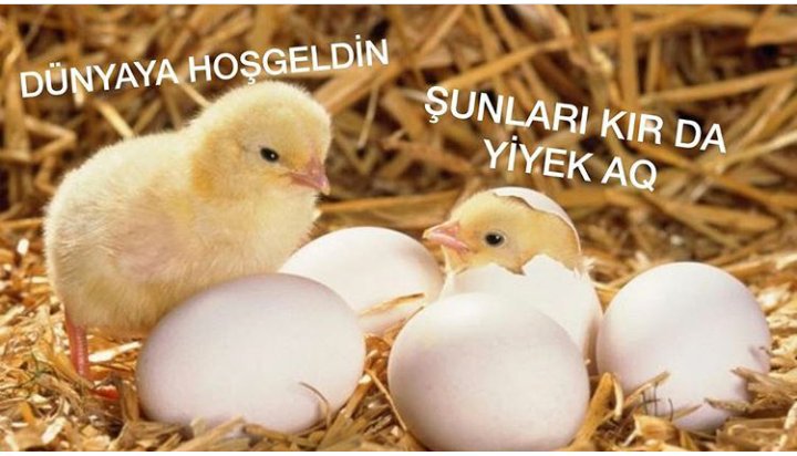 LeadSoldiers7's tweet photo. Türk youtuberlar aq 😂

#YoutuberlarınKazancı https://t.co/yV1xZ8Desi