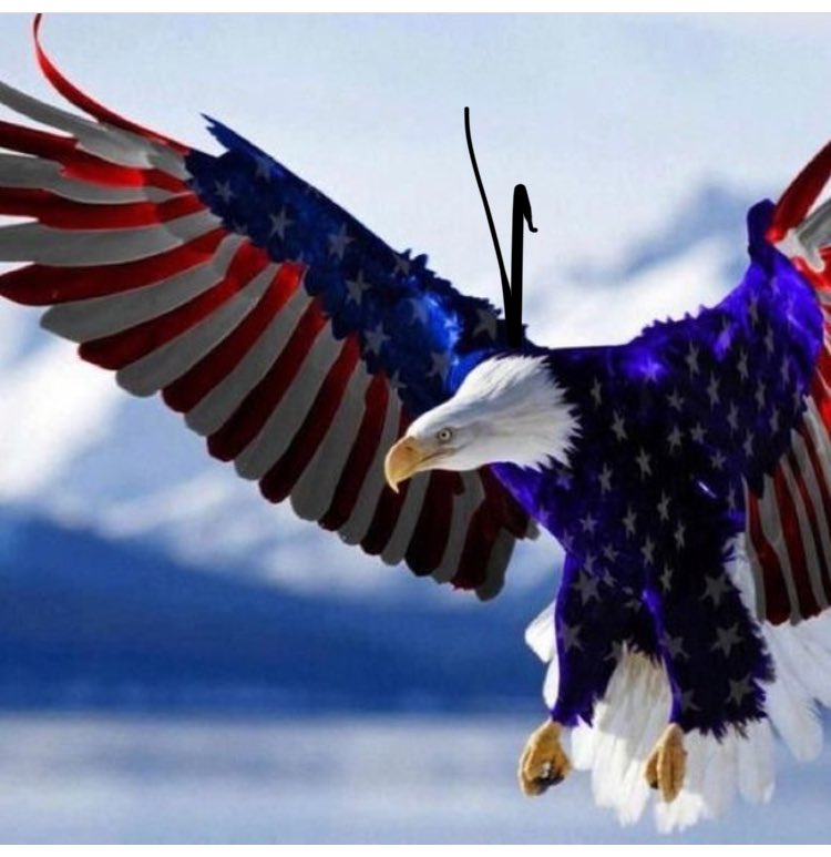 tiresquire's tweet photo. What’s more American than a Philadelphia Eagle !! https://t.co/vGre64DrcD