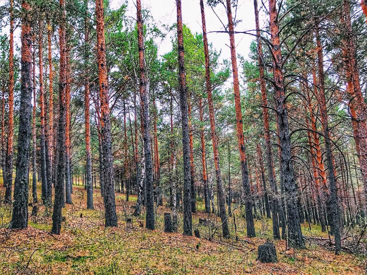 "Олон улсын Ойн өдөр" 2018.03.21