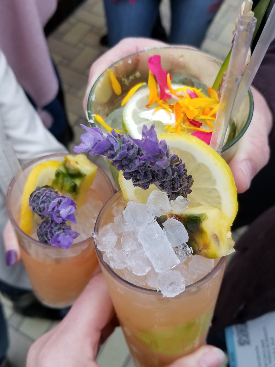 Dana B. Kanfoush tweet media