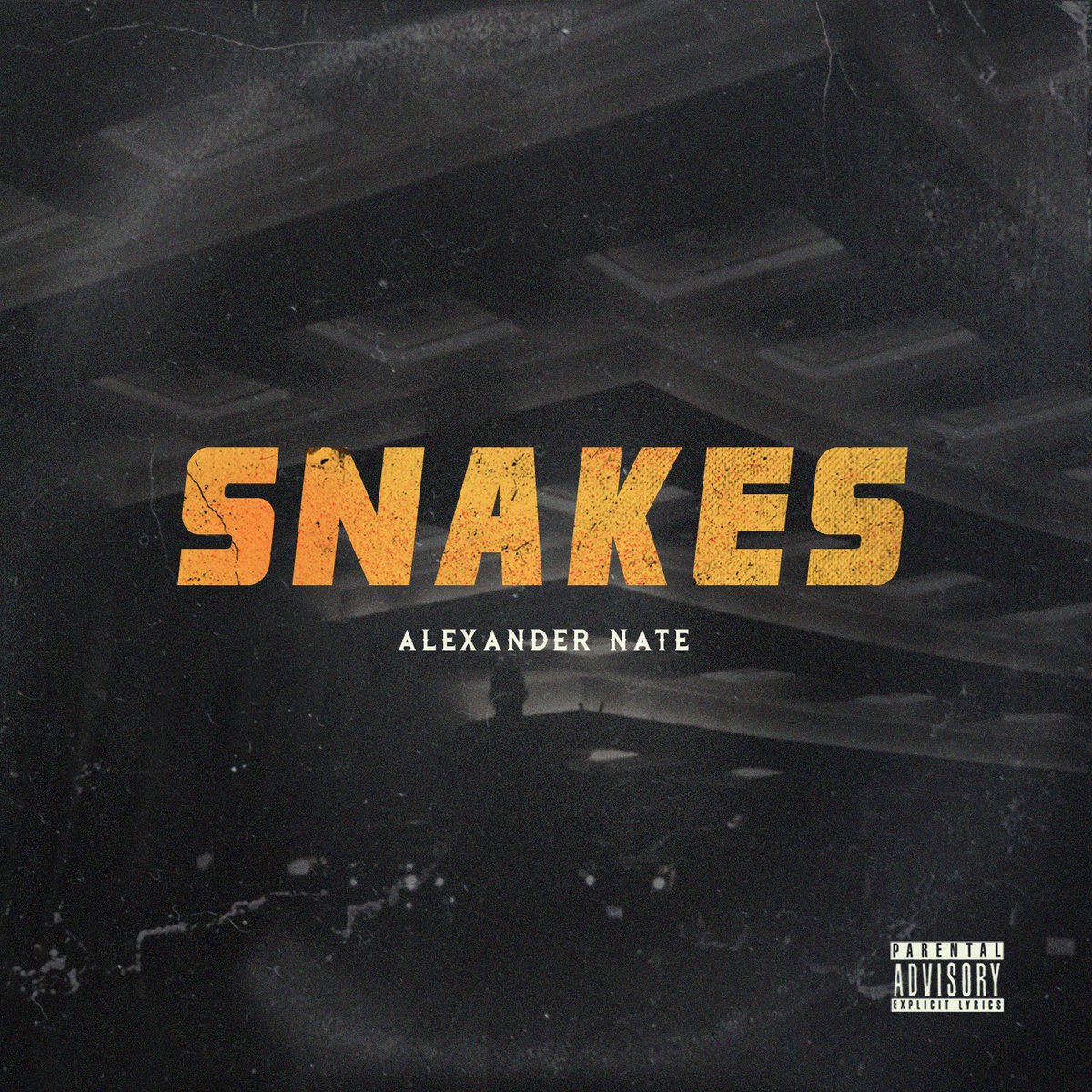 AlxandrNate's tweet image. Snakes trending over at @audiomack 📈

Take a listen: audiomack.com/song/alxandr-n…

🐍🐍🐍