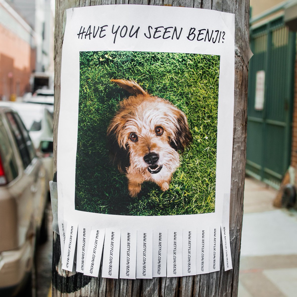 Netflix Japan ネットフリックス ぼくが出てる ベンジー もう見てくれた ネトフリ 独占配信中