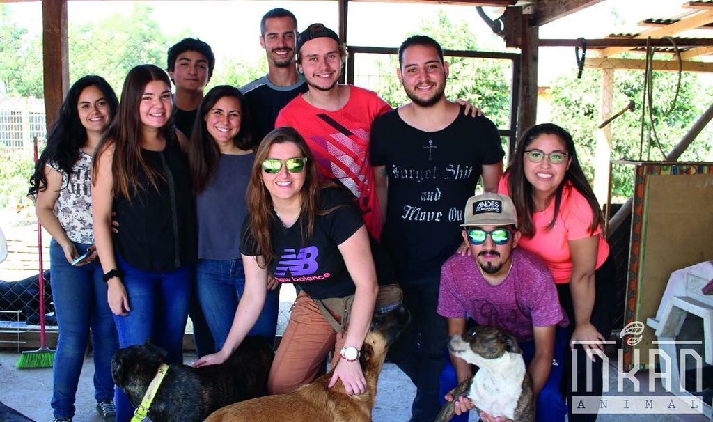 inkananimal's tweet photo. Cada día se suman ➕ voluntarios #INKANsables a nuestro equipo! 🙌🏻 Estamos muy felices y agradecidos de recibirlos! 👏🏻 Si quieres participar, no te quedes de brazos cruzados. ¡El momento es ahora! Los más agradecidos serán ellos!🐶🐱Anímate y participa 🙌🏻
#inkantadores https://t.co/nT74xXPBCT