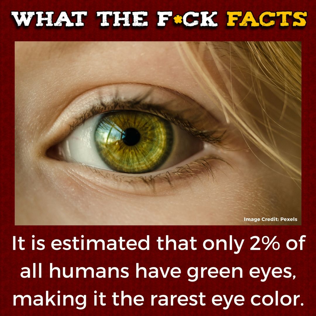 WhatTheFFacts's tweet photo. https://t.co/T3s8zsm2bV