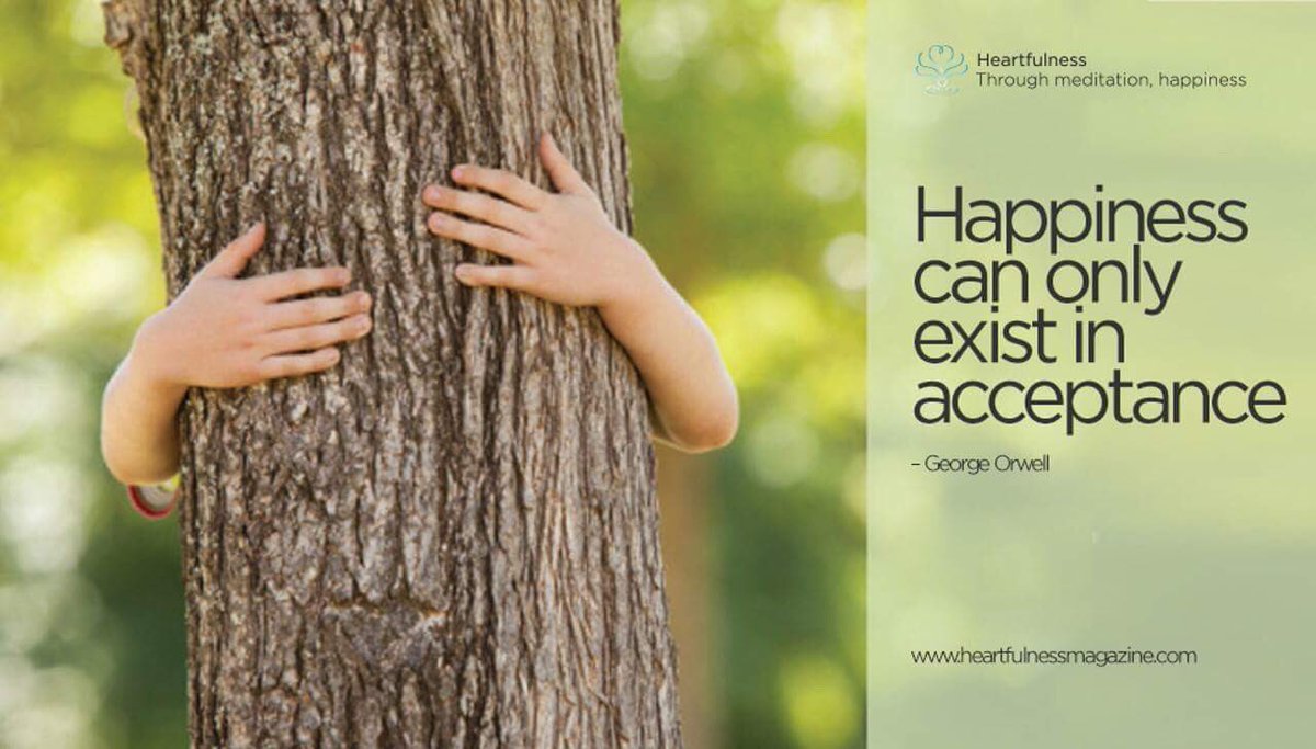 Обнимая дерево. С каким деревом обниматься. С каким деревом обниматься. Человек обнимает дерево. Обнимает дерево.