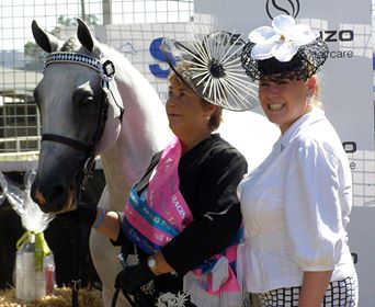 Empire Stallions tweet media
