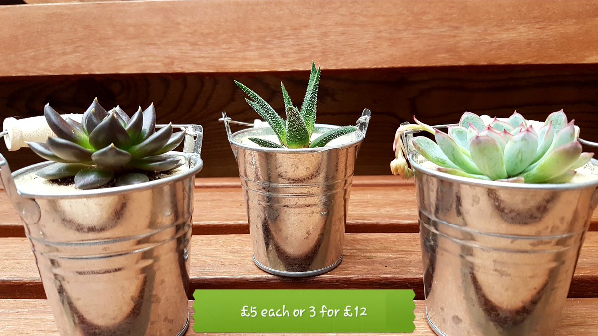 SmallByDesign tweet media