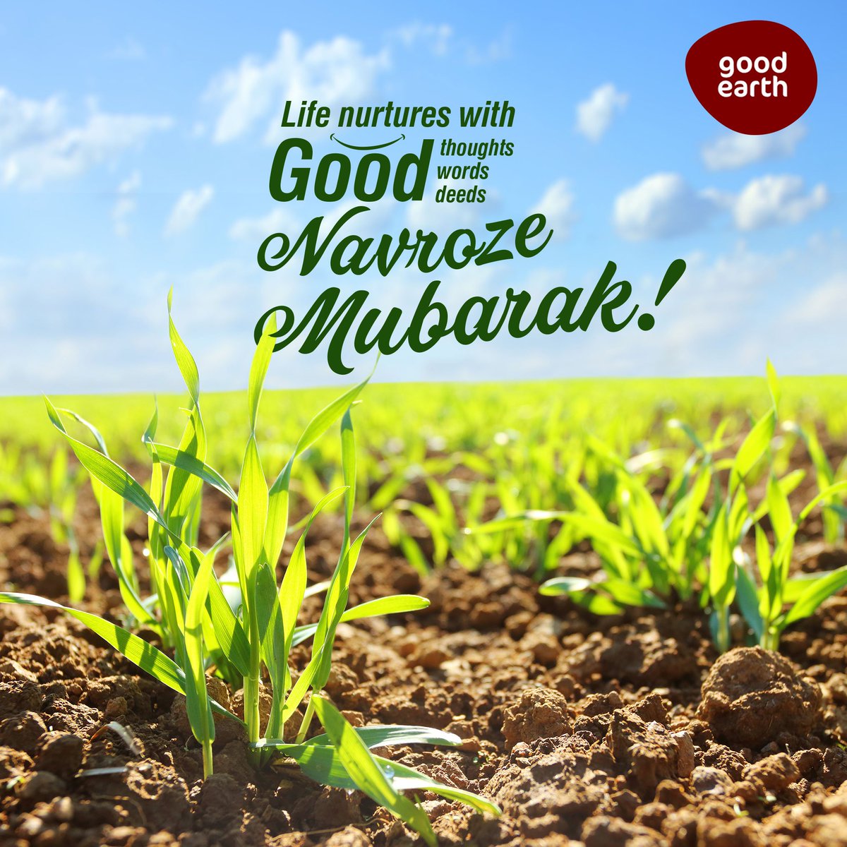 maa_group tweet picture
