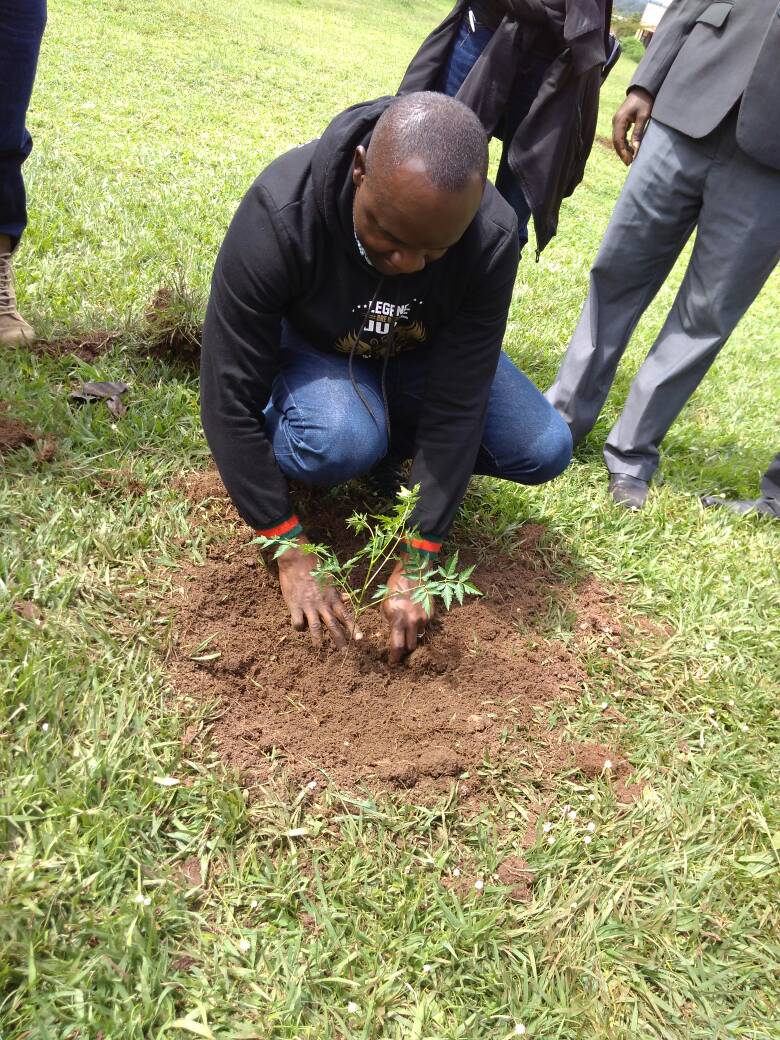 min_waterUg's tweet photo. #UWEWK: Today we celebrate World Forestry day, "Forests and Sustainable Cities" to raise awareness of the importance of all types of woodlands, trees and the ways in which they sustain and protect us. #letusallplantatree @alfayole @NFAUG @Env_Alert @WWFUganda https://t.co/TKS4DxhCRm