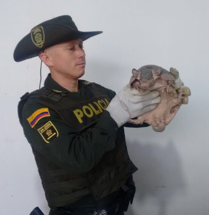Policía Metropolitana de Bucaramanga tweet media