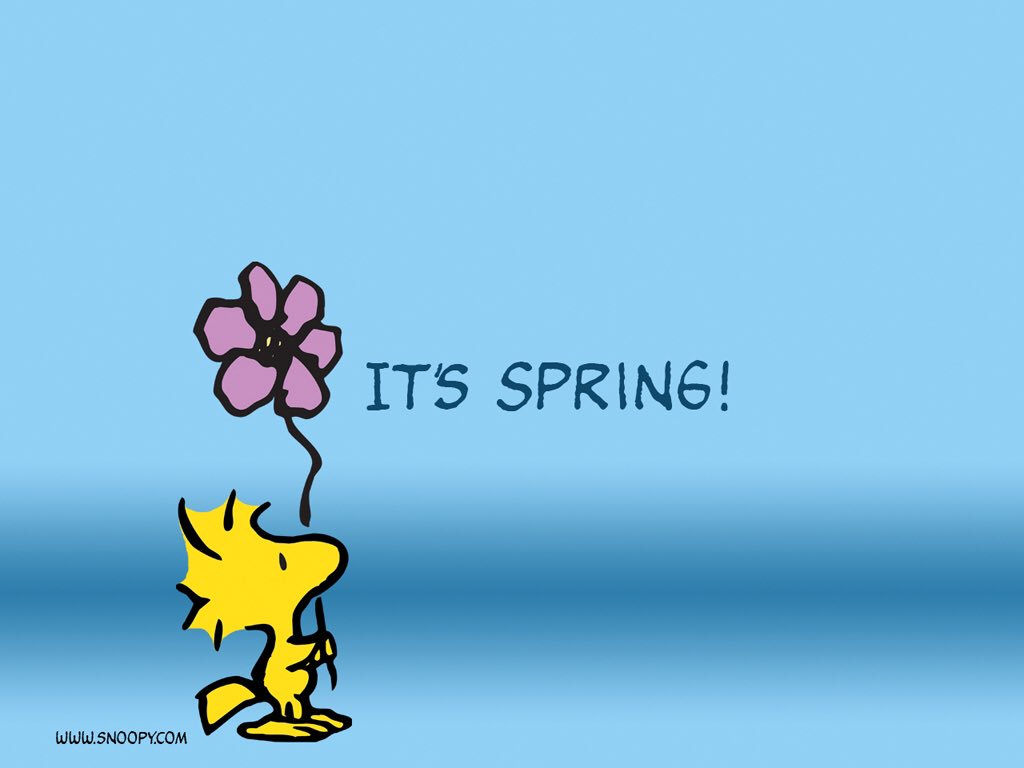 Traveler2090's tweet photo. Happy Spring y'all! https://t.co/m33gaXVc5T