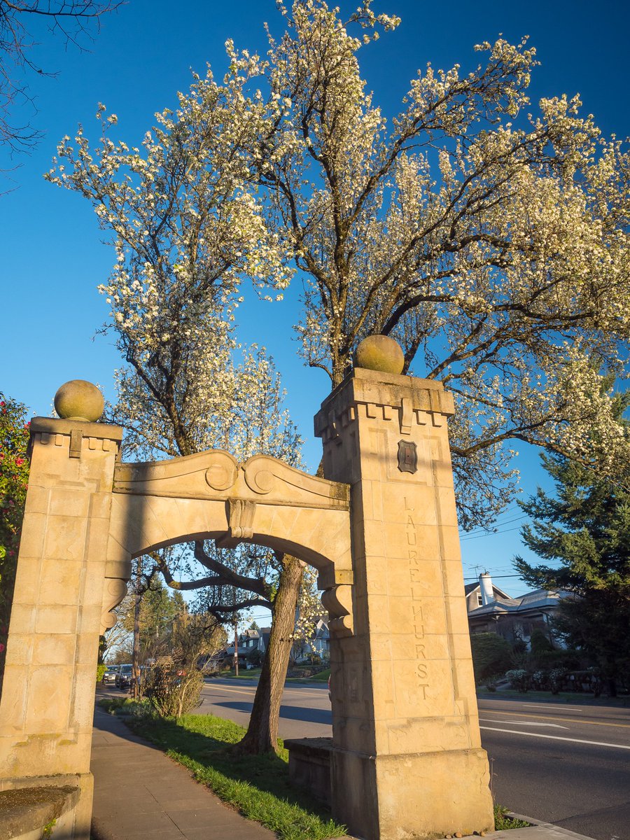 joeturic's tweet photo. My Pocket of #Portland, day 20.  Sandstone arches marking the entrance to the #Laurelhurst neighborhood on #Burnside.  #pdx #getolympus https://t.co/zzaEJpMFMS