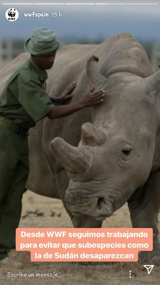 Lexamon9's tweet photo. Adiós Sudán #stoptraficoespecies https://t.co/5tPHf07ush