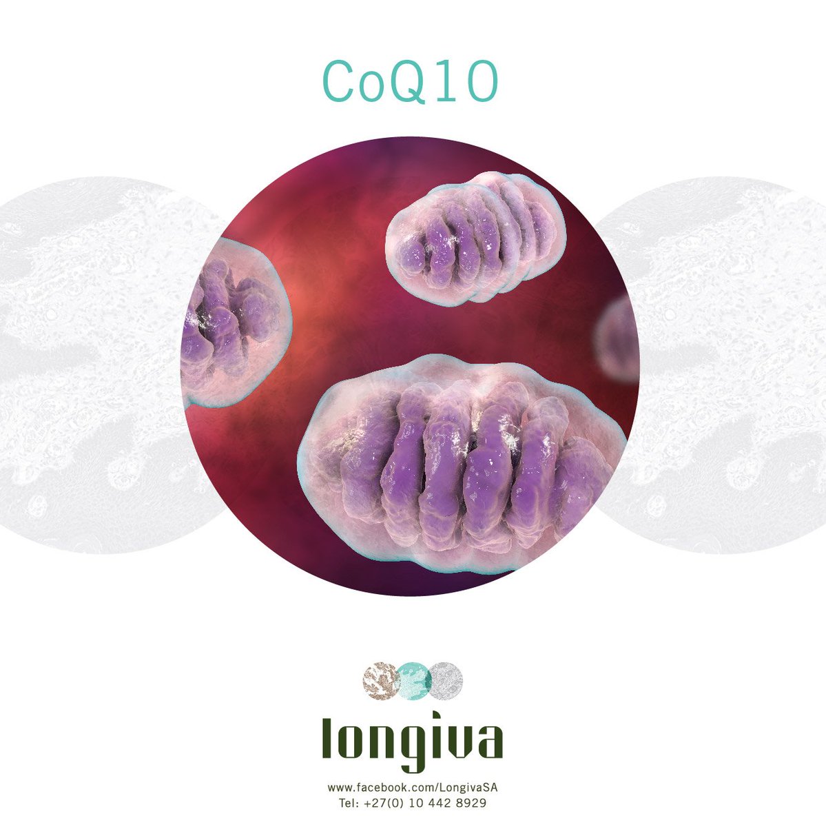 DrGys's tweet photo. Coenzyme Q10, or CoQ10 is an energy creating component found naturally in every cell of the body. 

It plays a vital role in creating the energy that cells need to function normally and the protecting cells from oxidative damage and bacteria and viruses. 

CoQ10 levels can dr ... https://t.co/pfElI8Cksd
