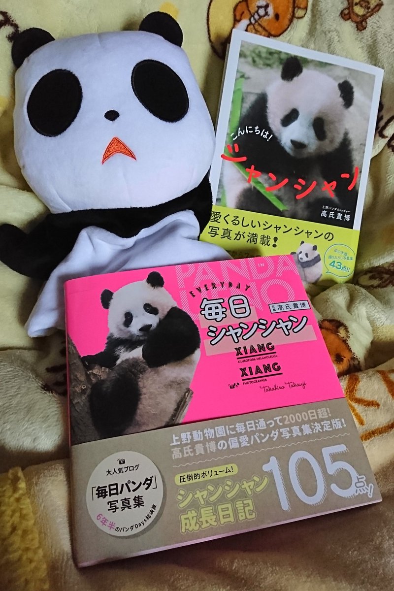 毎日シャンシャン 毎日シャンシャン