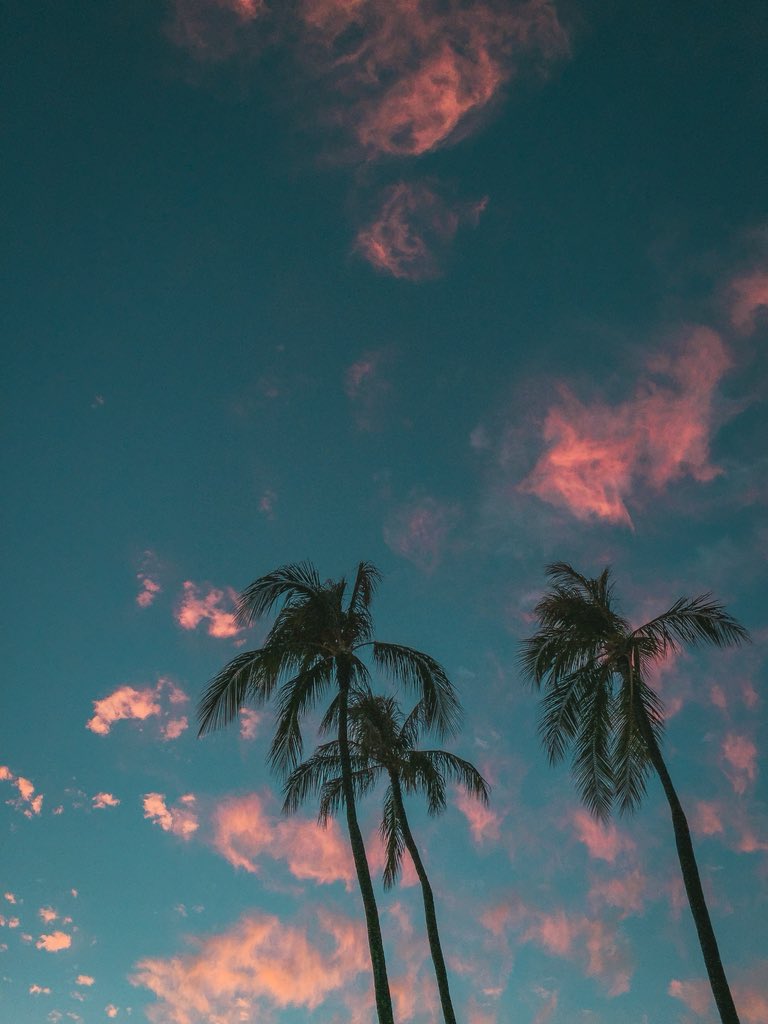 tooturnttrace's tweet photo. vibin’ https://t.co/8iIGye75oq