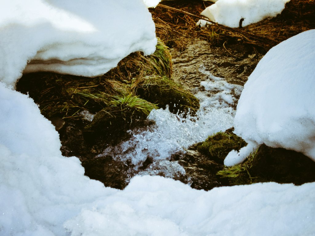 توییتر 雪融け水 جستجوی توییتر