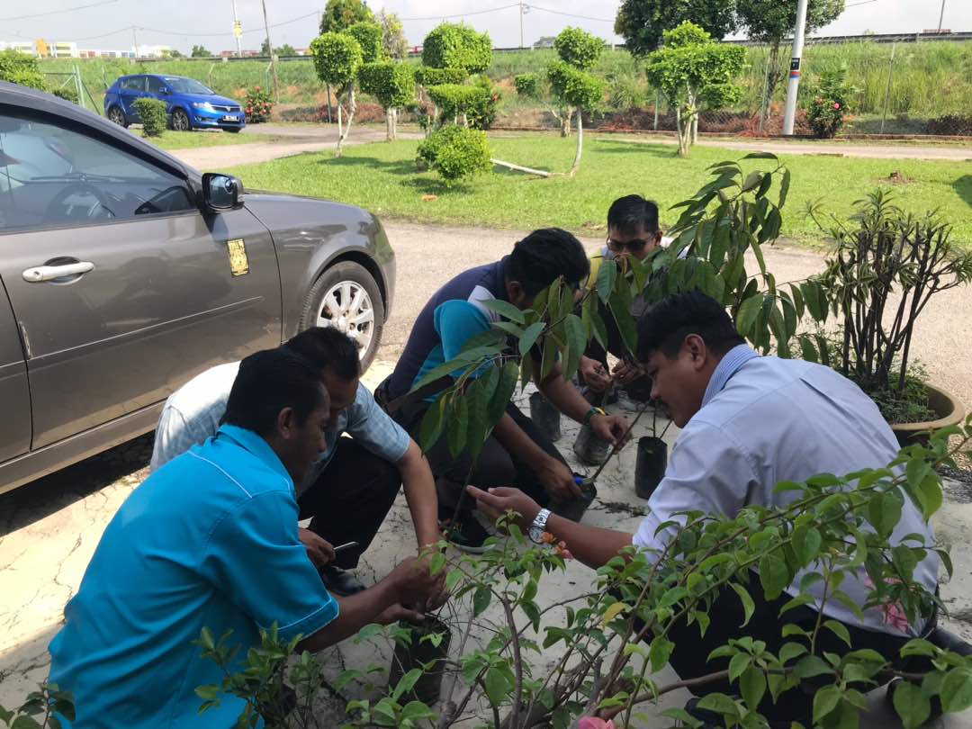 PertanianSepang's tweet photo. Kursus Cantuman Mata Tunas dan Tut Pokok Buah-Buahan di Pusat Pertanian Labu Lanjut
Tarikh: 21.3.18
Bil.peserta : 25 org
Objektif : mempelajari teknik pembiakan tampang anak pokok buah-buahan dgn btl
Penceramah : en.selamat bin sawoji
@doaselangor 
@JHarizan 
@IsmailBakar60 https://t.co/ke0iqxxzEm
