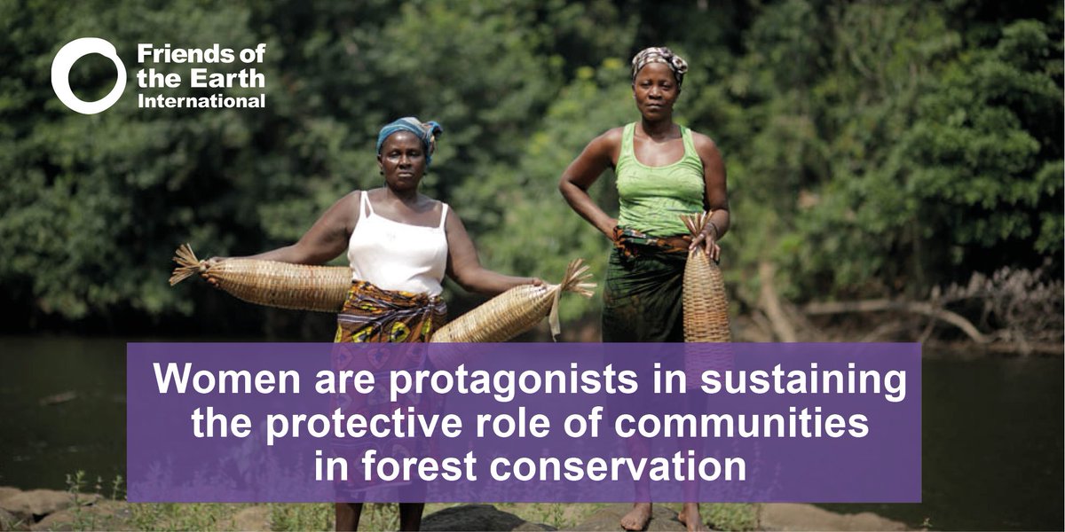 Today on #InternationalDayOfForests we are celebrating #CommunityForestManagemen
