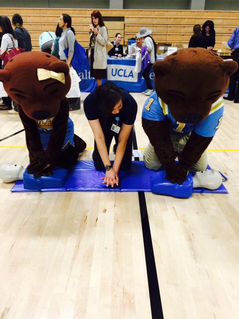 Joe and Josephine Bruin learning CPR. 📷 @fansmash #americanheartassociation #aha #cpr #ucla #bruins #bls #emt #westwood #losangeles #savelives  #uclacpc