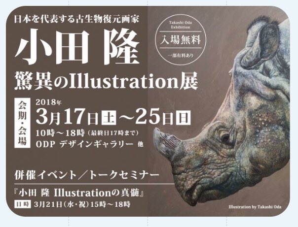 沢山のドローイング見放題。等身大の動物画。これを見るために大阪に来た。超楽しい。小田隆さん@studiocorvo の個展、超楽しい。 
