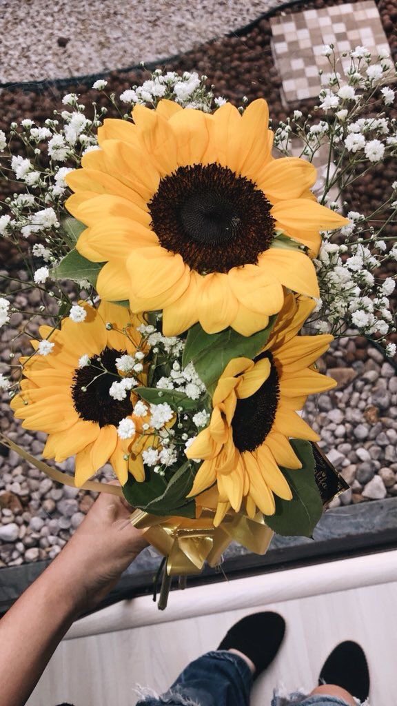 sunflowerlust's tweet photo. Sunflowers will always melt my heart https://t.co/RHo1oRW5f8