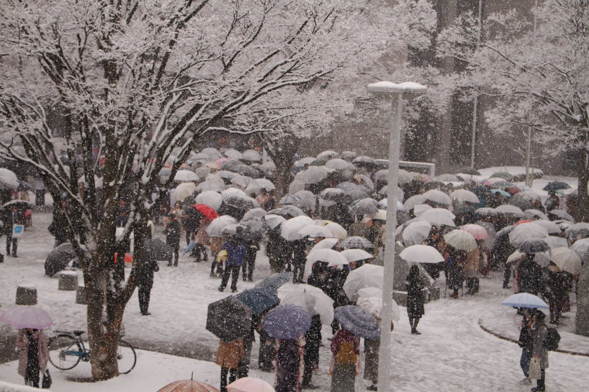 信州大学all写真部 Twitterren 今日は松本キャンパスで理学部 経済学部 人文学部 医学部の卒業式が行われました あいにくの天気ですが袴に雪は映えますね ご卒業おめでとうございます