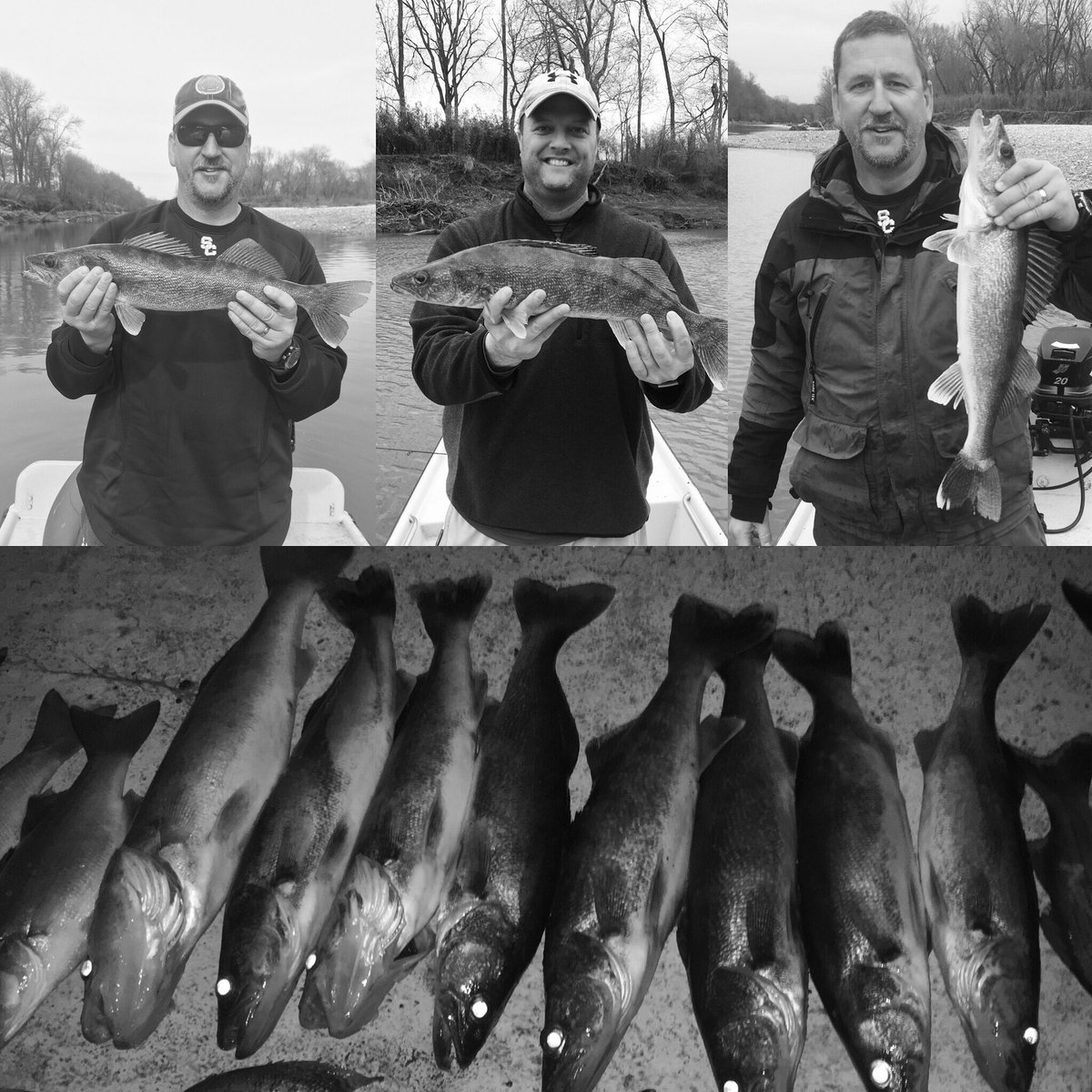 jddudley's tweet photo. Had the privilege of catching a lot of fish at twin bridges over the last 40 years but NEVER had a day like this... 2 limits of Walleye on 2 pound line and ultralights! @brenthester12 #finessefishing #razorsharpteeth https://t.co/bC7HAYtPxo